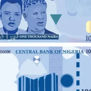 Nigerian Naira Exchange