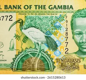 Gambia Dalasi Exchange